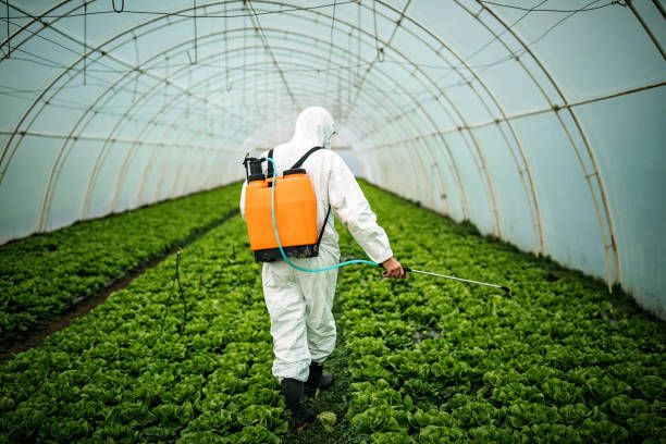 Best Pest Inspection Near Me  in Jarrell, TX