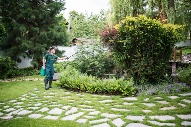 Best Mosquito Control Services  in Jarrell, TX